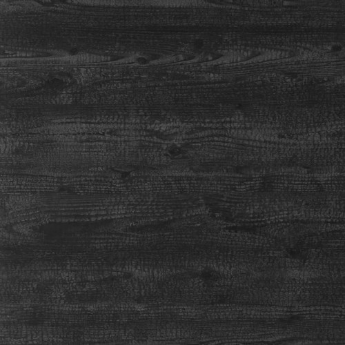 WL Carbonized Wood_GP 2.jpg