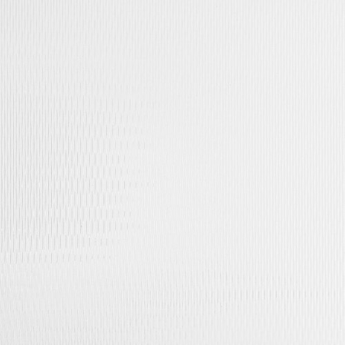 AC MOTION TWO White_GP 2.jpg