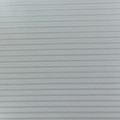 SL WAVE Silver_GP 2.jpg