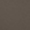 LL Dove Tale_GP 2.jpg