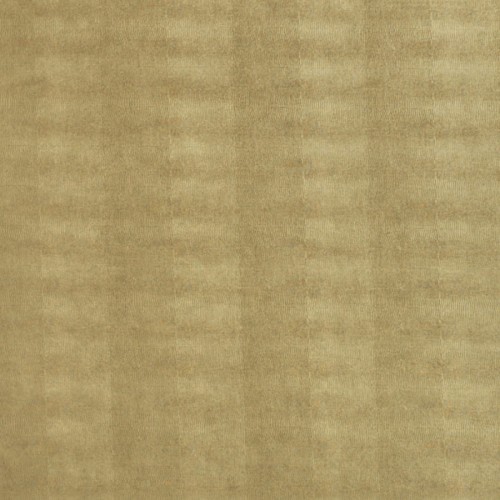 LL LEGUAN Gold_GP 2.jpg