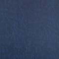 LL LEGUAN Blue_GP 2.jpg