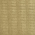LL LEGUAN Gold_GP 2.jpg