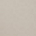 LL Light Oyster_GP 2.jpg