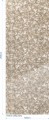 SG LACE White Vintage Brown_GP 1.jpg