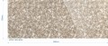 SG LACE White Vintage Brown_GP.jpg