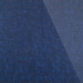 SG LEGUAN Blue_GP 2.jpg