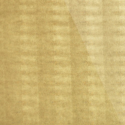 SG LEGUAN Gold_GP 2.jpg