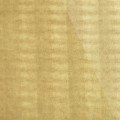 SG LEGUAN Gold_GP 2.jpg