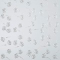 PL 3D ROSES Silver PF met Silver_GP 2.jpg