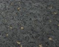 373895_db.jpg