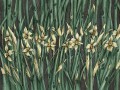 Narcise Art. 445 32 2102.jpg