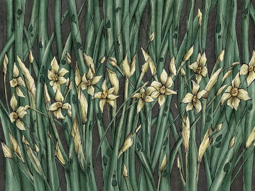Narcise Art. 445 32 2102.jpg