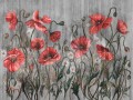 Rosella Art. 470 32 2102.jpg