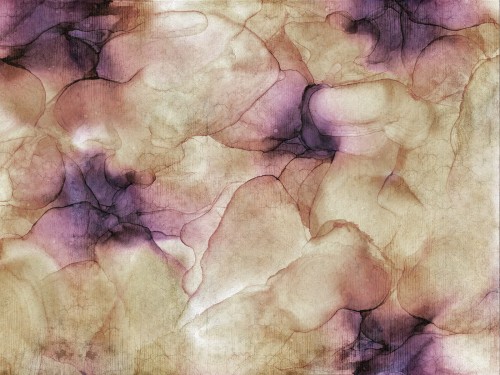Netes-Art.-370-31-2101.jpg