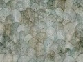 Iberis-Art.-410-31-2101.jpg