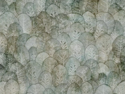 Iberis-Art.-410-31-2101.jpg