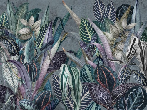 Nevida Art. 630 32 2202.jpg