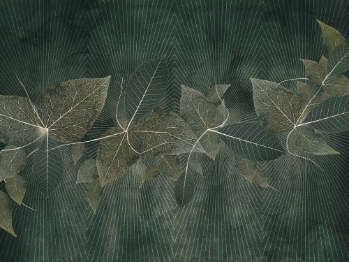 Blara Art. 615 32 2201.jpg