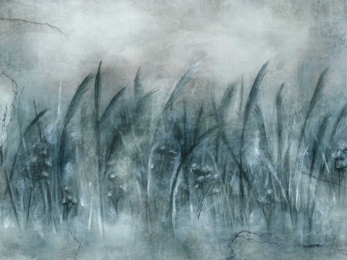 Canna Art. 535 31 2201.jpg