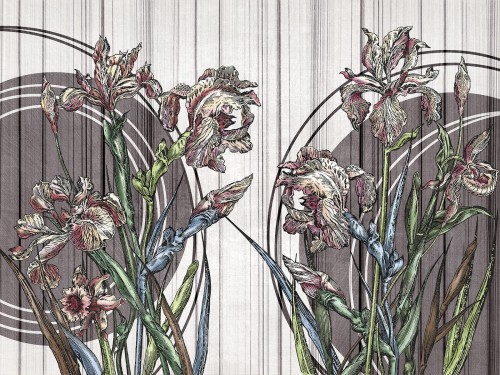 Clarri Art. 670 32 2202.jpg