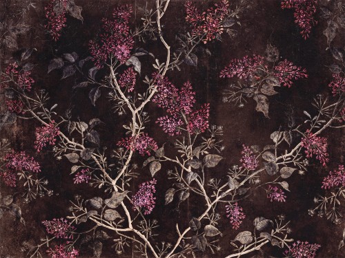 LIlu Art. 780 31 2301.jpg