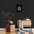 Zdjecie-aranzacyjne-RALPH-W47-05-vinylpex-1.jpg