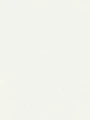 36925-3.webp