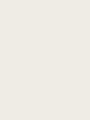 39216-1.webp