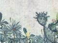 succulento_s.jpg