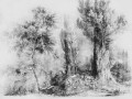 calm black and white_s.jpg