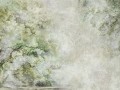 sanctuary green_s.jpg