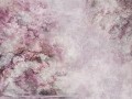 sanctuary pink_s.jpg