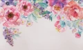 nettare vivid.webp