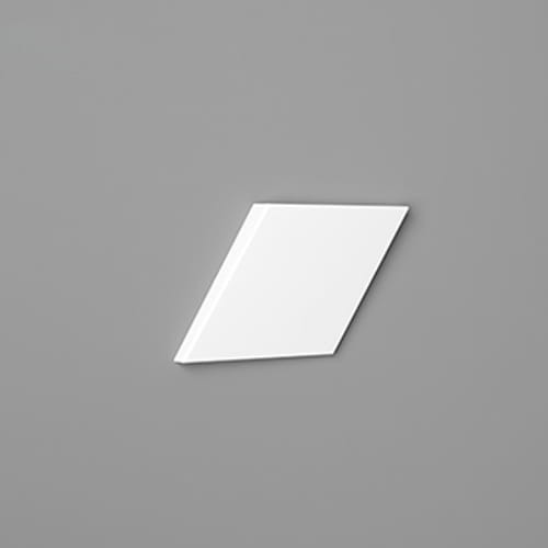 W100.jpg